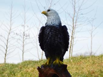 Eagle on Tree Trunk - 37 cm - Polystone