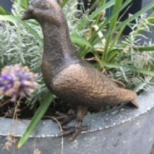 Taube, voll Bronze-Metall farbe, schöne Statue