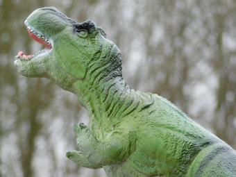 Beeld Dinosaurus - 40 cm - Polystone