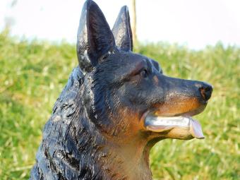 Shepherd dog XL - 78 cm - Polystone