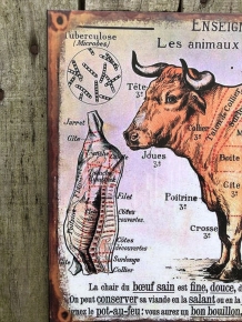 Metallschild mit einem Rind und die Aufteilung des Fleisches nach Arten, Le boeuf