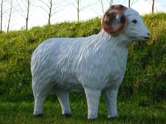 Sheep with Horns - 85 cm - Polystone