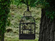 Set of 2 Bird Cages - Square - Vintage Brown