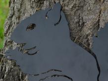 Silhouette of a squirrel | Matt Black | Metal