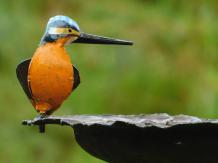 Handgefertigte Futterschüssel mit Eisvogel - Gartenstab - Metall