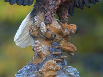 Bald Eagle - 40 x 50 cm - Polystone - Zeearend