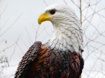 Statue Eagle XL - 105 cm - Polystone