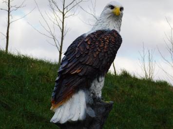 Statue Eagle XL - 105 cm - Polystone