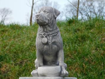 Statue Hund - 35 cm - Stein