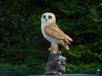 Statue Owl - 35 cm - Polystone - Detailed