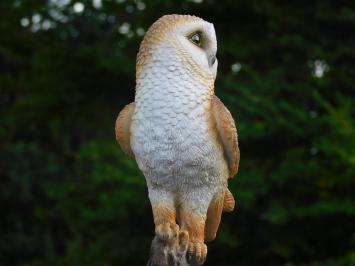 Statue Owl - 35 cm - Polystone - Detailed