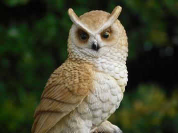 Owl on Stump - 35 cm - Polystone - Detailed