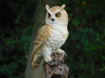 Owl on Stump - 35 cm - Polystone - Detailed