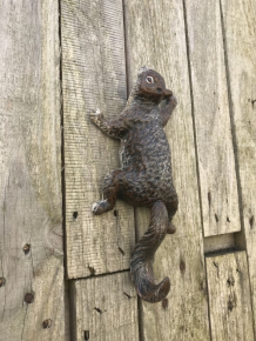 Ein kletterndes Eichhörnchen, wandhaken-aus Gusseisen, Wanddekoration