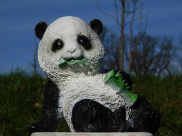 Statue Leaning Panda - Polystone - in Colour