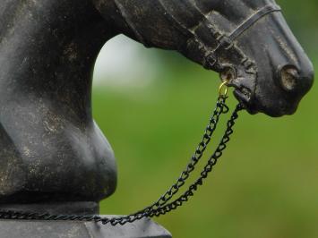 Beeld Paardenhoofd met Teugels - Polystone