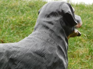 Beeld Rottweiler - 80 cm - Polystone