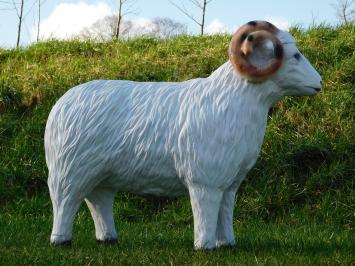 Schaap met Hoorns - 85 cm - Polystone