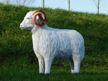 Schaap met Hoorns - 85 cm - Polystone