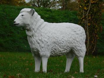 Sheep - 80 cm - Polystone