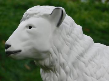 Sheep - 80 cm - Polystone