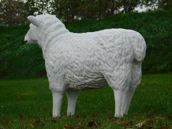 Sheep - 80 cm - Polystone