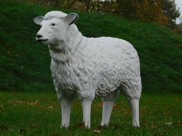 Sheep - 80 cm - Polystone