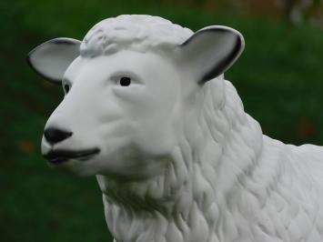 Sheep - 80 cm - Polystone