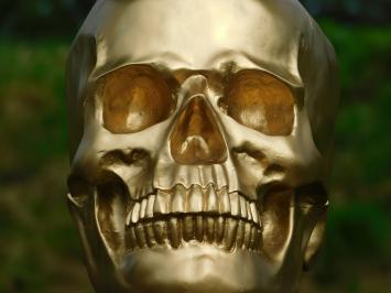 Skull - Skull - Polystone - Gold