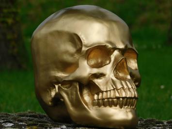 Skull - Skull - Polystone - Gold