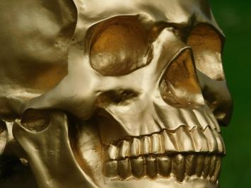 Skull - Skull - Polystone - Gold