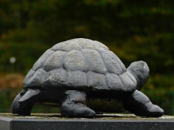 Beeld Schildpad - Gietijzer - Decoratief beeld