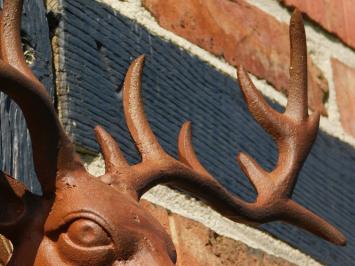 Wall ornament Deer head - Brown - Cast iron