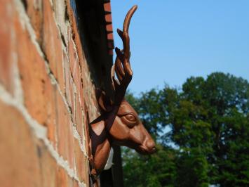 Wandornament Hertenkop - Bruin - Gietijzer